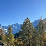 Apartment Enzian By Interhome Saas-Grund