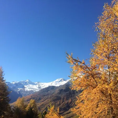 Enzian By Interhome * Saas-Grund