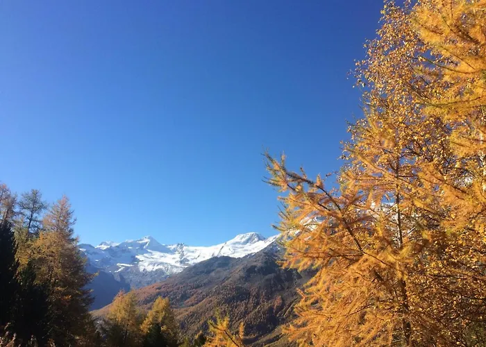 Enzian By Interhome * Saas-Grund